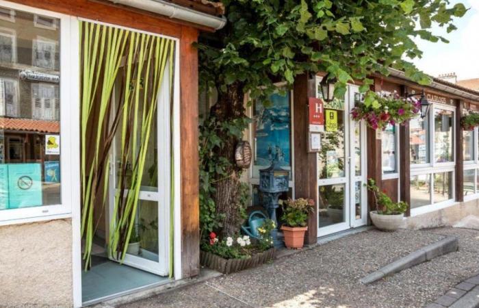 Turismo nell'Alta Loira: 5 volte più posti letto su Airbnb che negli hotel tradizionali