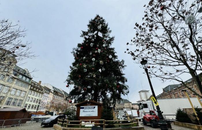 I 10 comandamenti per sopravvivere al mercatino di Natale di Strasburgo, edizione 2024