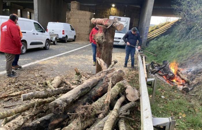 DIRETTO. La rabbia del mondo agricolo non si placa nella Val de Loire e nel Poitou