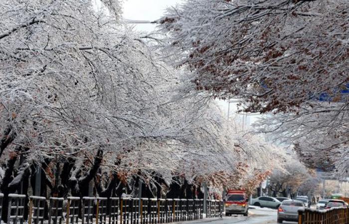 La forte nevicata trasforma la Corea nel paese delle meraviglie invernale – in immagini