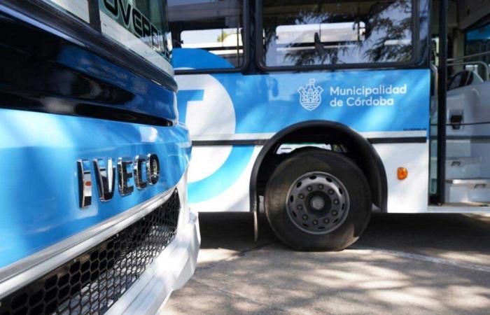 Iveco ha consegnato in Argentina la prima flotta di autobus a gas naturale