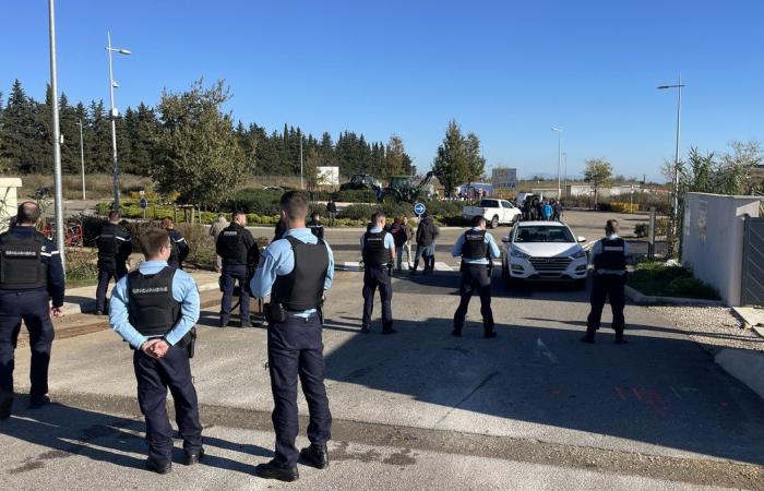 GARD Agricoltura: quattro ragioni per manifestare