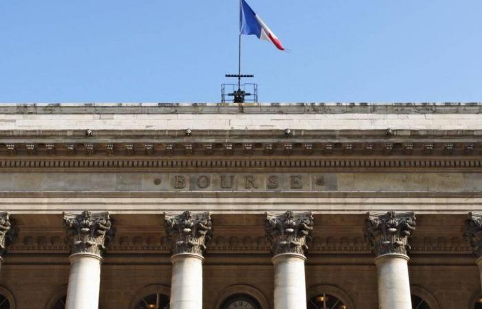 Cac 40: Il rischio politico in Francia grava sul settore bancario e sul CAC 40