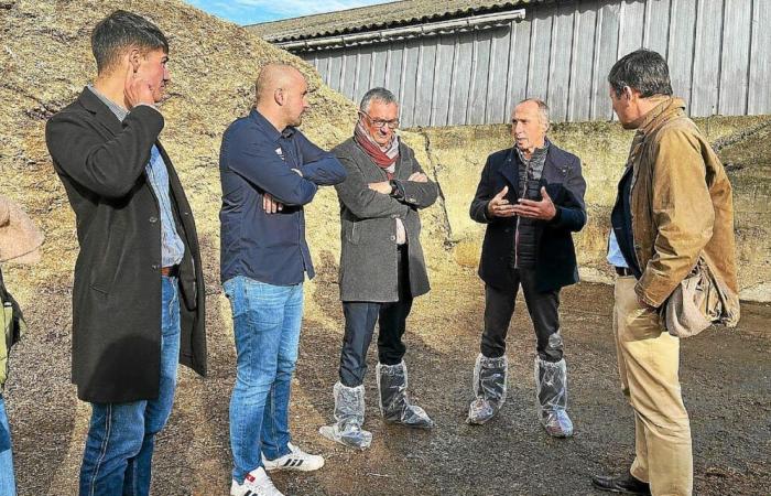 Vicino a Lannion, il nuovo prefetto della Côtes-d'Armor in contatto con gli agricoltori