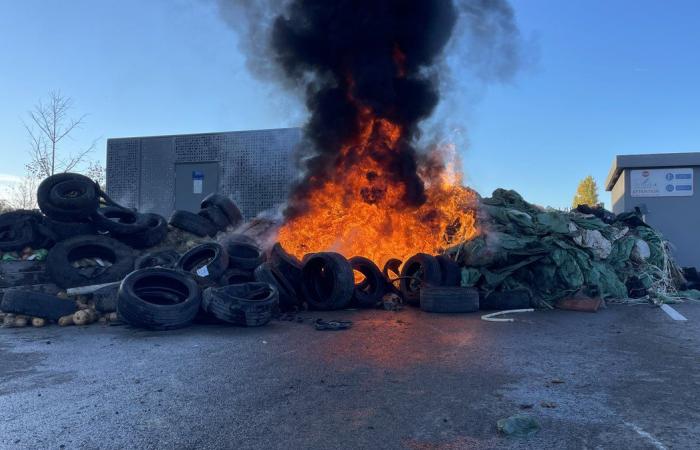 GARD Agricoltura: quattro ragioni per manifestare