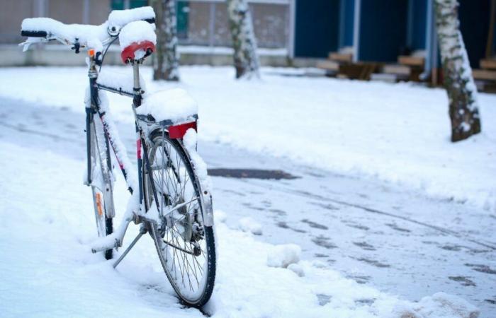 Un prezzo da “pala arrugginita” per piste ciclabili poco pulite