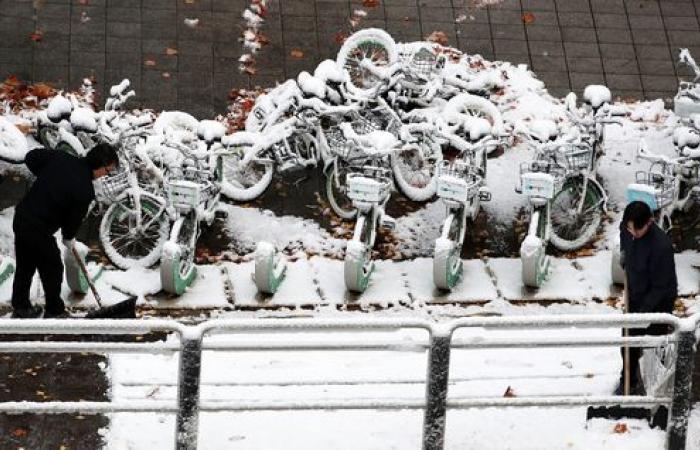 La forte nevicata trasforma la Corea nel paese delle meraviglie invernale – in immagini