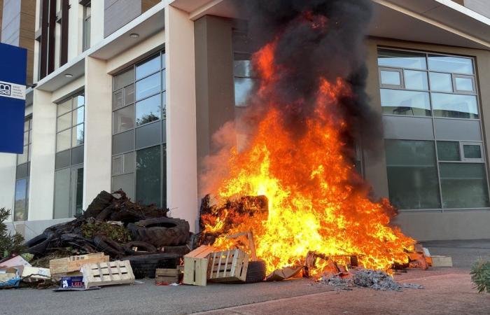 GARD Agricoltura: quattro ragioni per manifestare