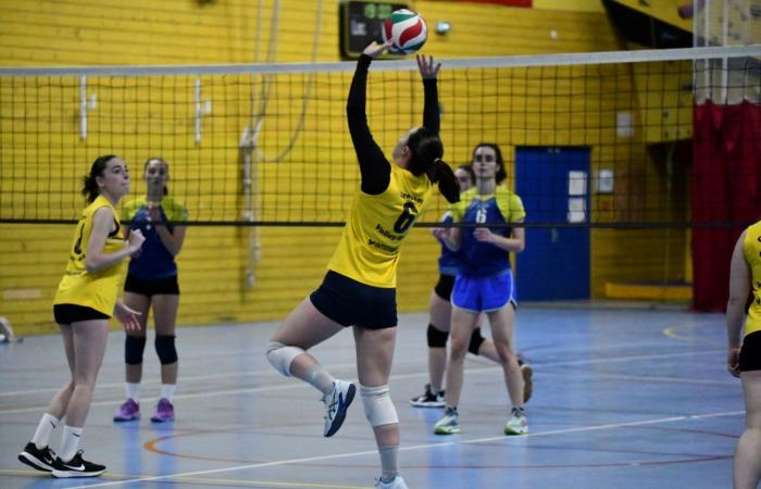 PALLAVOLO: Hanno vinto solo gli uomini di Le Creusot… Le donne hanno perso tutto…