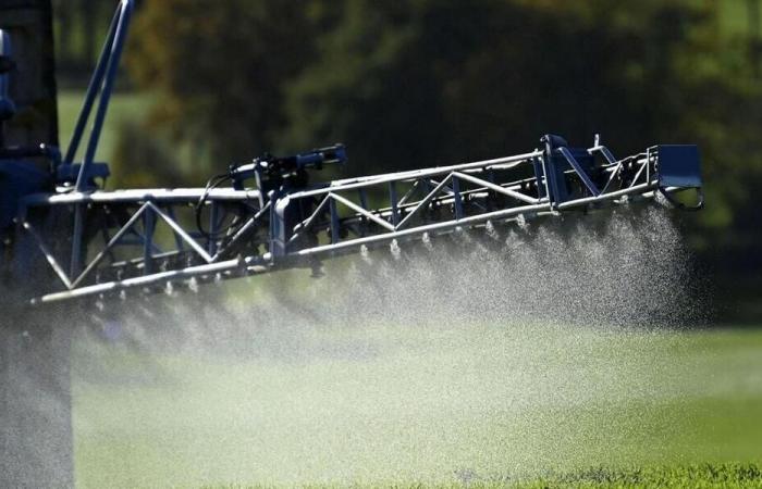 Gli agricoltori biologici manifesteranno dopo la contaminazione dei loro raccolti da parte di un pesticida