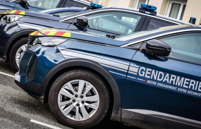 Arresto di polizia di un uomo sospettato di essere coinvolto in due casi irrisolti nell’Isère