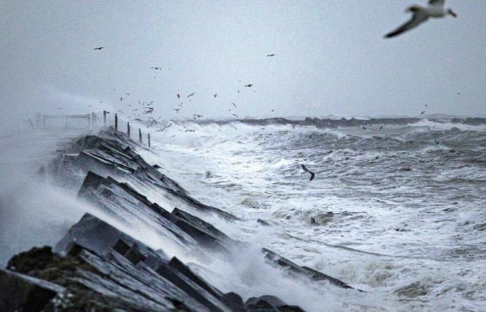 Venti forti attesi nei Paesi Bassi con l’arrivo della tempesta Conall: c’è rischio per il Belgio?