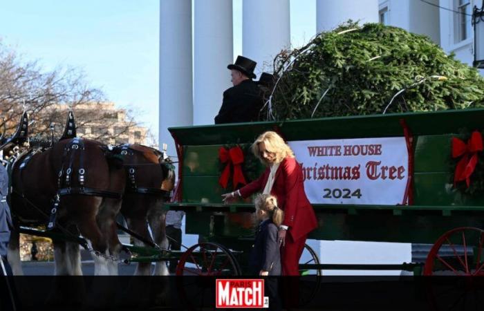 Filmato adorabile: Jill Biden e suo nipote Beau danno il benvenuto all’albero di Natale della Casa Bianca