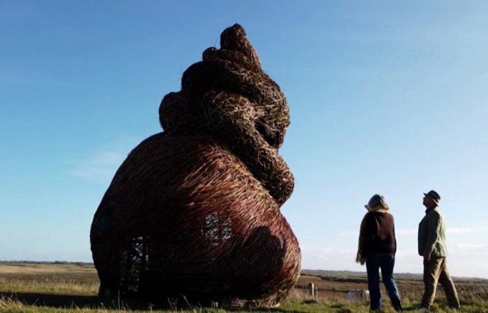 Una scultura che assomiglia stranamente all’emoji della cacca scatena il dibattito in Inghilterra: “Per noi è una vittoria”