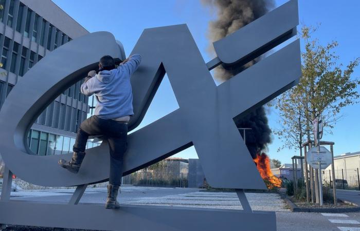 GARD Agricoltura: quattro ragioni per manifestare