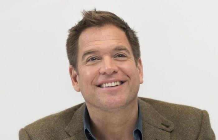 Michael Weatherly rivela di essere stato ispirato da uno dei suoi ex partner per interpretare DiNozzo e tu lo conosci molto bene!