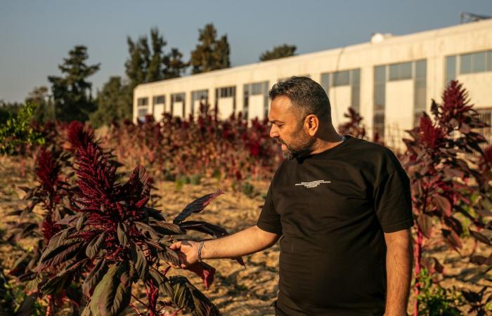 Nonostante il cessate il fuoco, i contadini libanesi sono convinti che Israele voglia “cacciarli di qui”