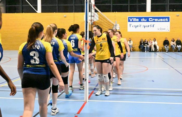 PALLAVOLO: Hanno vinto solo gli uomini di Le Creusot… Le donne hanno perso tutto…