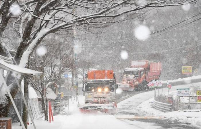 La forte nevicata trasforma la Corea nel paese delle meraviglie invernale – in immagini