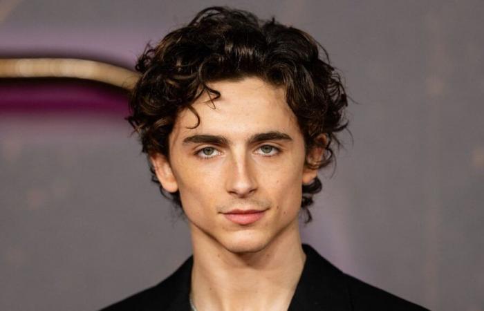 Timothée Chalamet avrebbe potuto recitare in Il Gladiatore 2, ma Ridley Scott ha deciso diversamente dopo aver visto questa serie