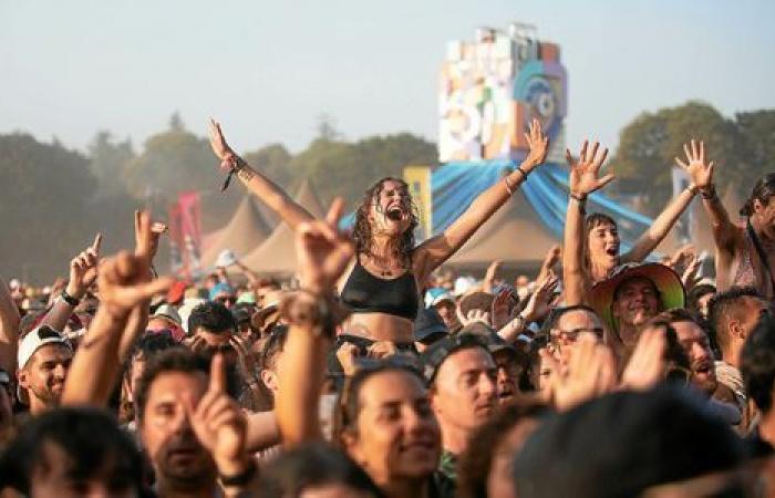 Chi ci sarà al Vieilles Charrues 2025? Ecco le nostre previsioni