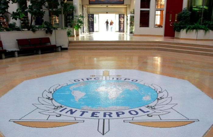 L’operazione record dell’Interpol contro le truffe online