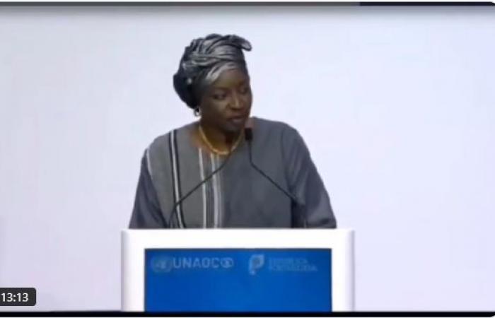 Aminata Touré dà una scossa all’Alleanza delle Nazioni Unite per la Civiltà