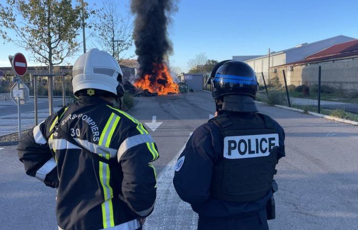 GARD Agricoltura: quattro ragioni per manifestare