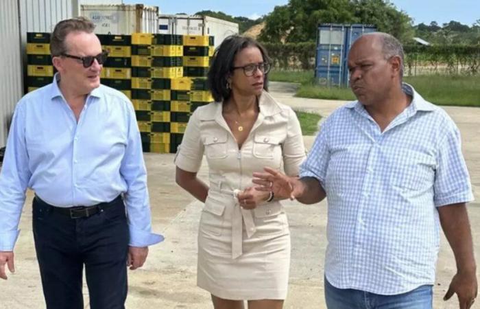 Guyana: Visita del presidente dell'UDE-MEDEF Guadalupa per mettere in comune le questioni