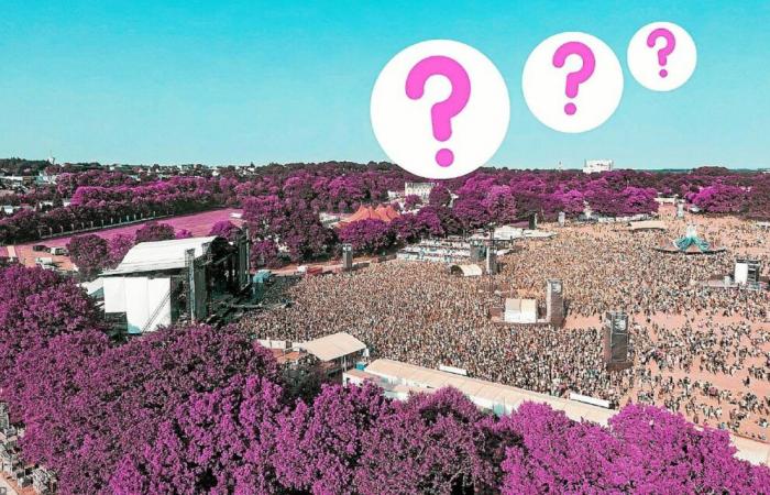 Chi ci sarà al Vieilles Charrues 2025? Ecco le nostre previsioni