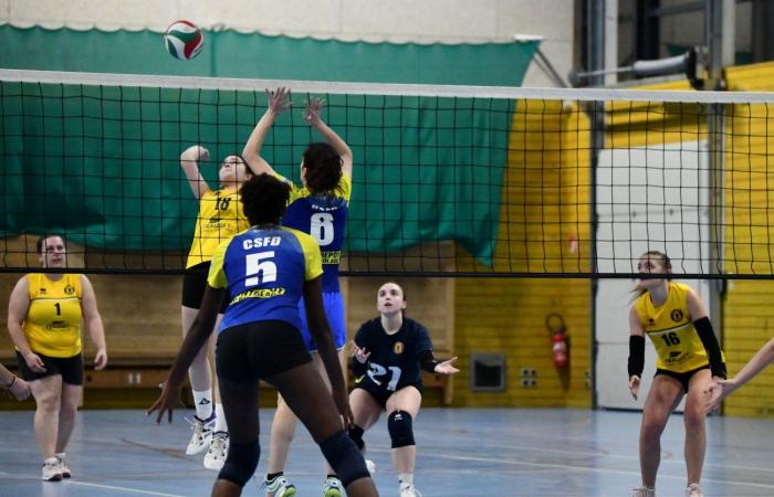 PALLAVOLO: Hanno vinto solo gli uomini di Le Creusot… Le donne hanno perso tutto…