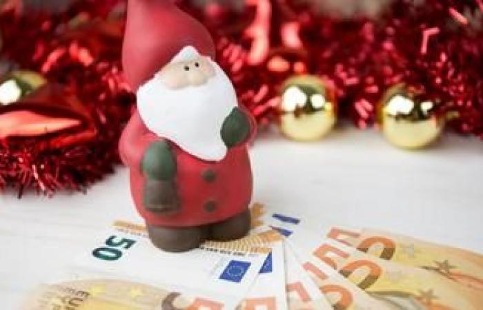 È possibile cumulare il bonus Natale 2024 e il bonus attività?