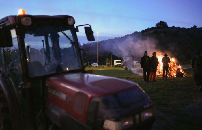 Bloccati il ​​porto di Port-la-Nouvelle e il suo deposito petrolifero