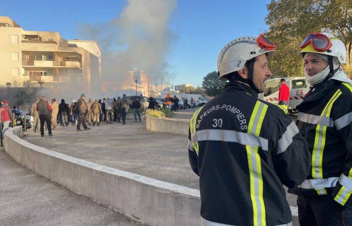 GARD Agricoltura: quattro ragioni per manifestare