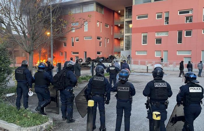 GARD Agricoltura: quattro ragioni per manifestare