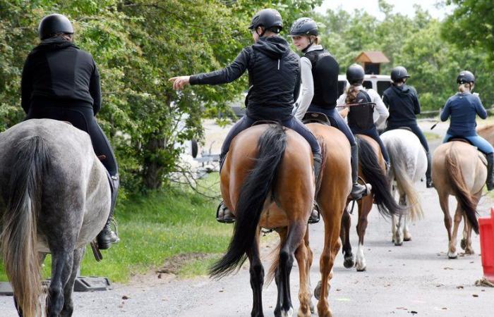 “Non credo che mi ci vorrebbe una vita per andare in giro per l’Aude”