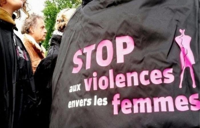 Più di 1.000 episodi di violenza domestica in Vandea in un anno