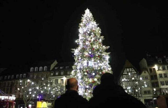 ti mostriamo come appare il grande albero illuminato