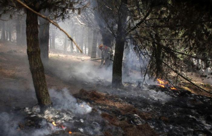 Incendi boschivi “sotto controllo” nel sud dell’Ecuador