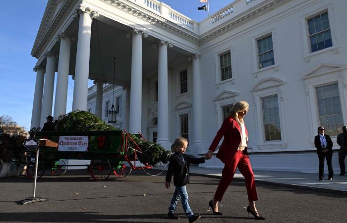 Filmato adorabile: Jill Biden e suo nipote Beau danno il benvenuto all’albero di Natale della Casa Bianca