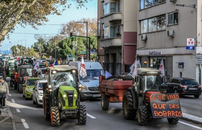 Mobilitazione agricola: siccità persistente, morte dei frutteti, oneri amministrativi, sostituzione delle colture… le ragioni della rabbia nei Pirenei Orientali