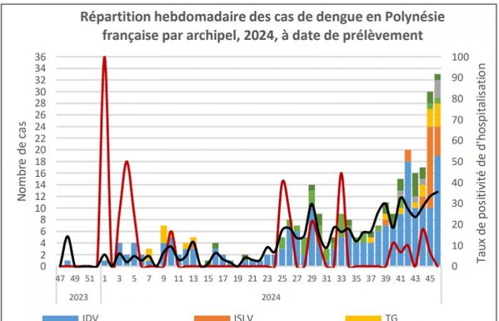 Dengue: “epidemia accertata” a Tahiti e Moorea