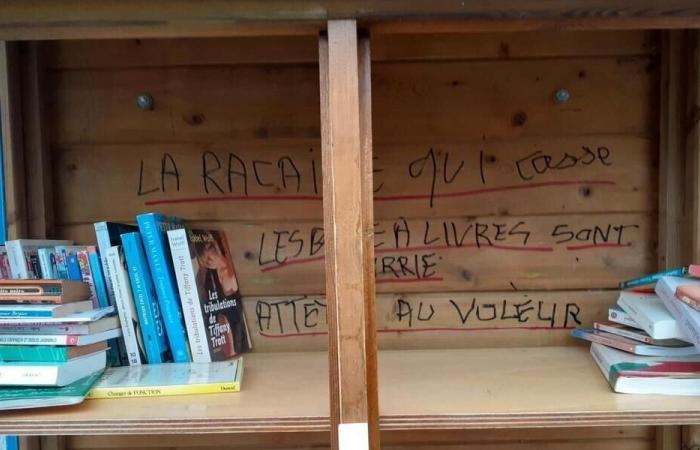 Bouguenais. Scatola dei libri degradata: la rabbia degli utenti