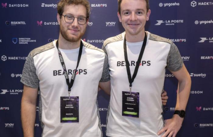 Bearops guadagna terreno nella sicurezza informatica offensiva