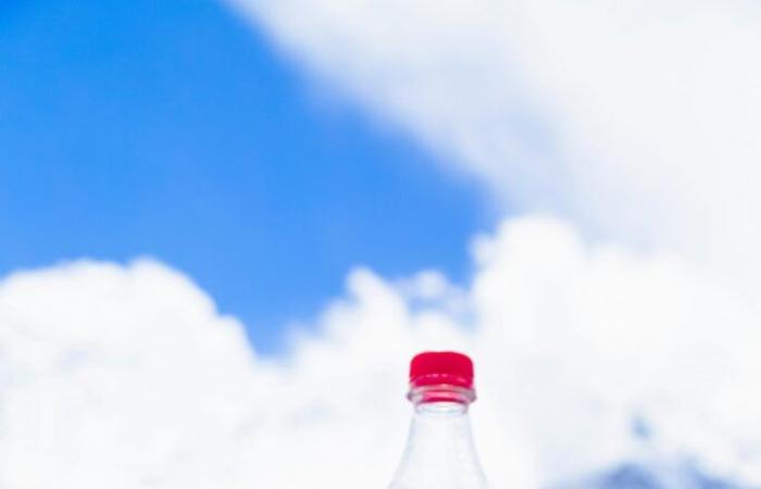 France Nature Environnement sporge denuncia contro Coca-Cola per greenwashing