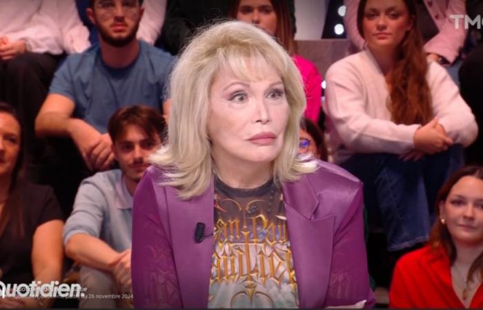 Cash, Amanda Lear dice all'editorialista di “Quotidien” che è “brutta”: “È terribile, mi dispiace!” »