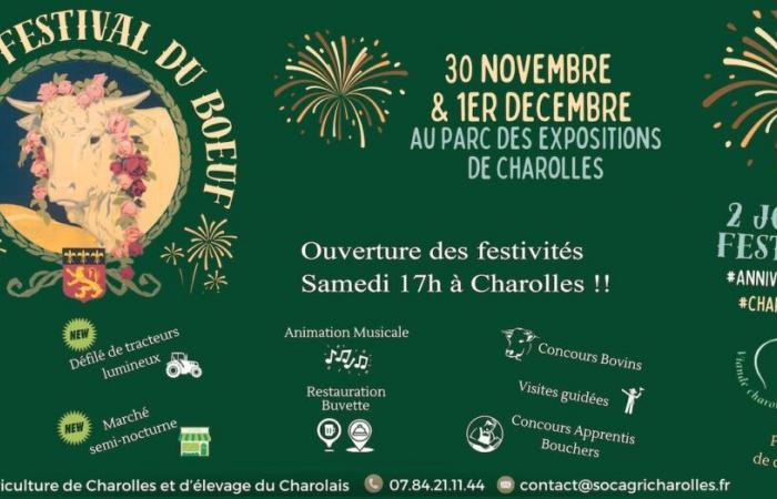 CHEVIGNY-SAINT-SAUVEUR: Conferenza sull’endometriosi il 4 dicembre