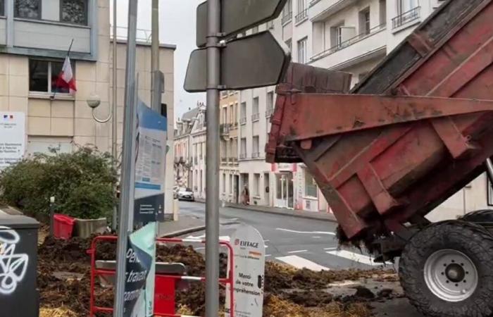 Indre-et-Loire: contadini arrabbiati scaricano il letame nel centro della città di Tours