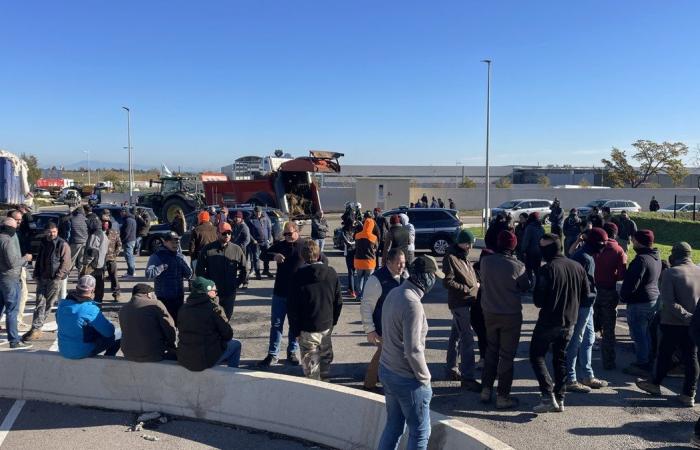 GARD Agricoltura: quattro ragioni per manifestare