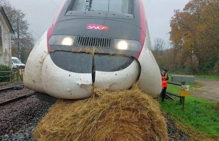 Come è possibile che una balla di paglia finisca sui binari e danneggi un TGV vicino a Nantes?